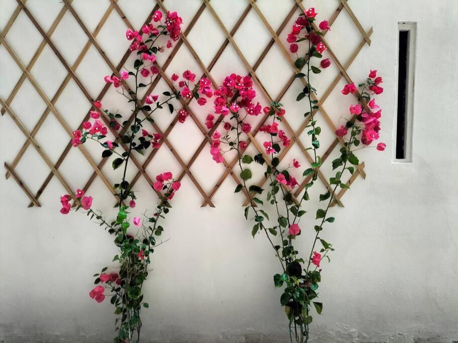 罗马Casalara Garden公寓 外观 照片